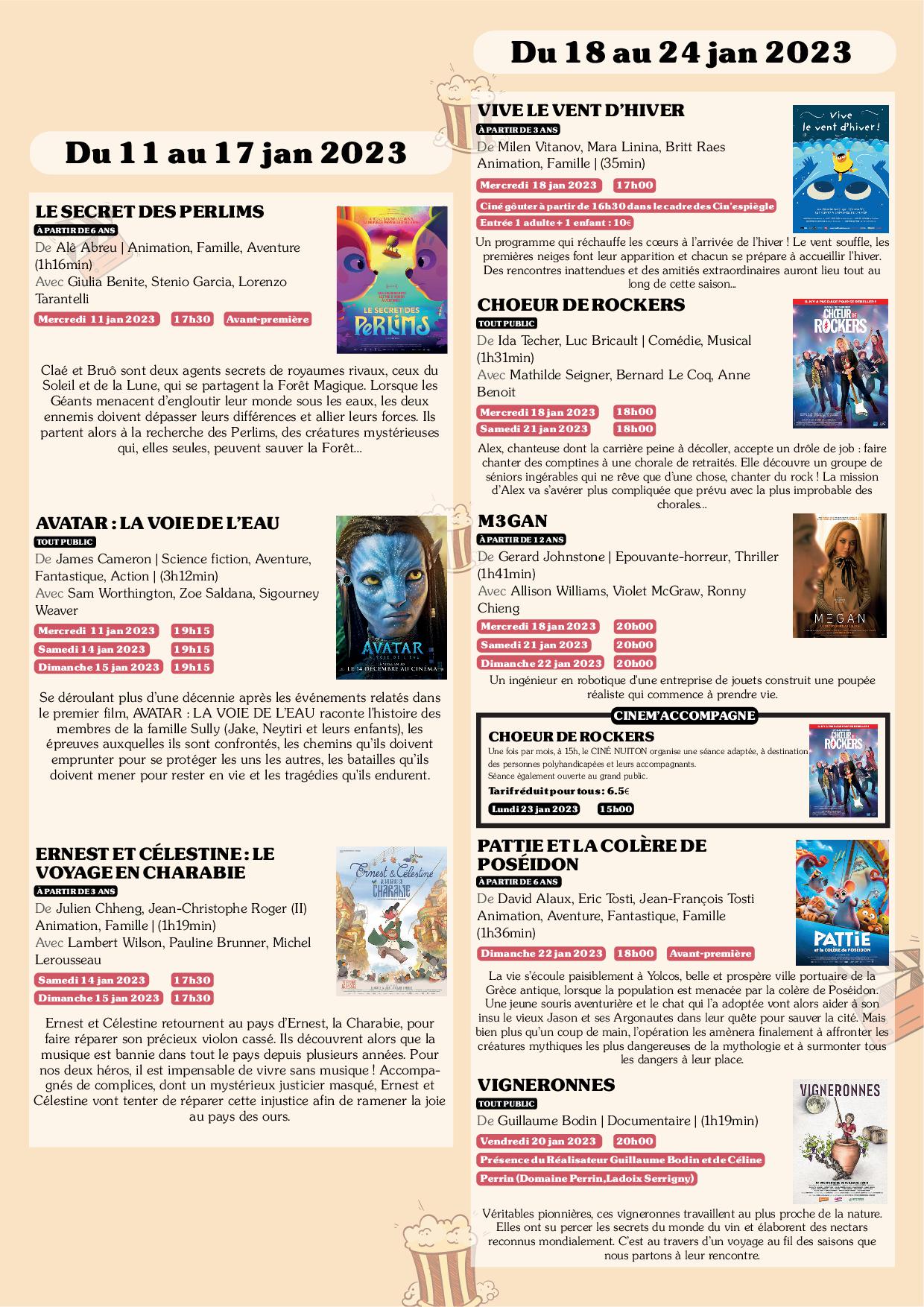 Flyer programme cinéma nuiton