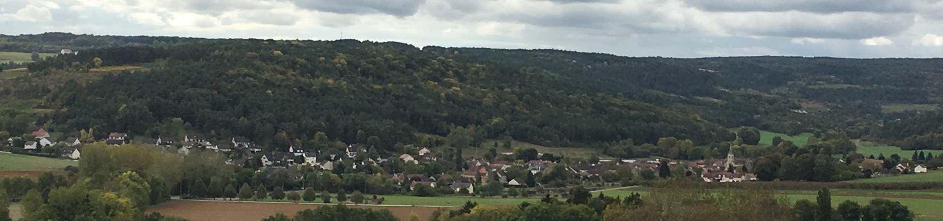 Banniere Commune de Meuilley