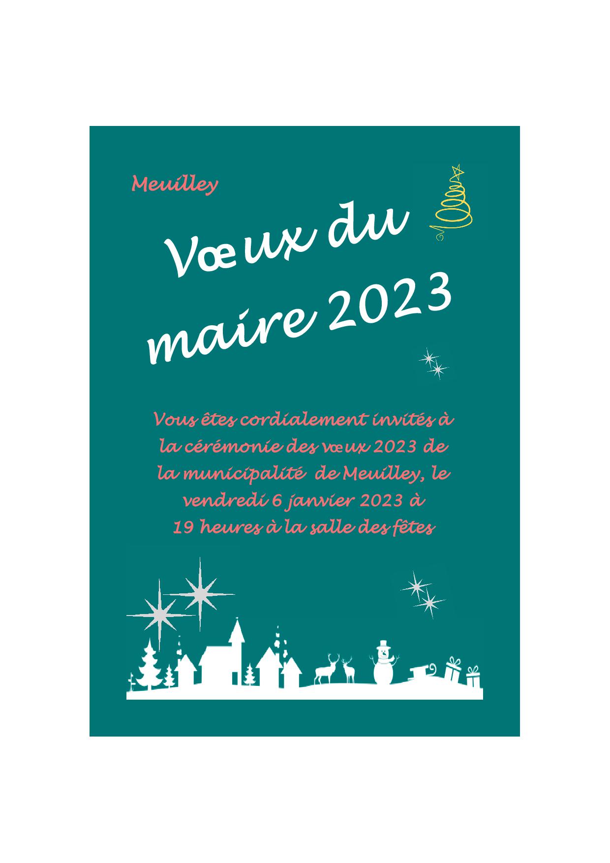 Flyer invitation vœux du maire