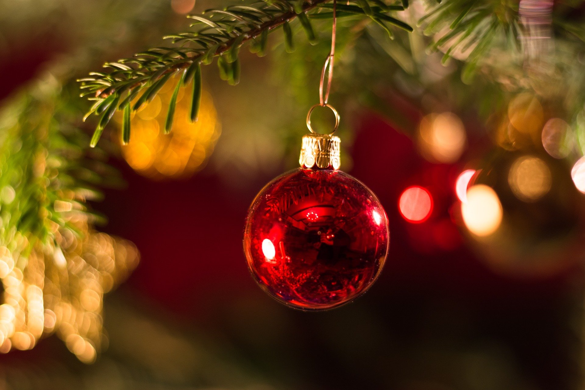 Boules de noël sur une branche de sapin.